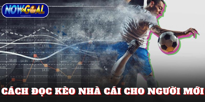 Cách đọc kèo nhà cái cho người mới